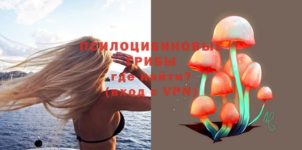 не бодяженный Аркадак