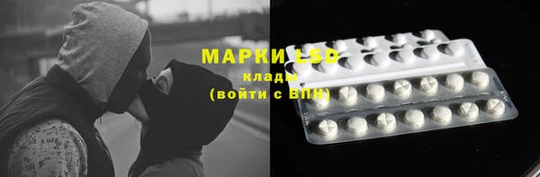 apvp Арсеньев