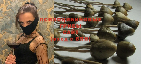 не бодяженный Аркадак