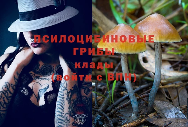 apvp Арсеньев