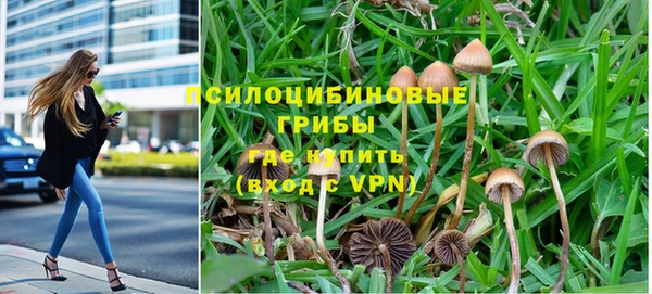 apvp Арсеньев