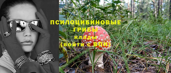 apvp Арсеньев