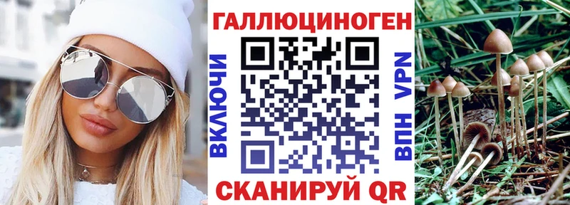 Псилоцибиновые грибы мицелий  купить наркотики цена  сайты даркнета как зайти  Минусинск 