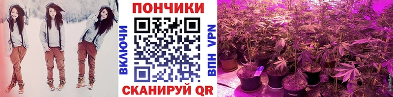 наркота  Минусинск  Бошки Шишки сатива 